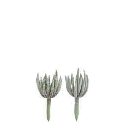 Set de 2 Plantes grasses en plastique vert 7x7x16 cm