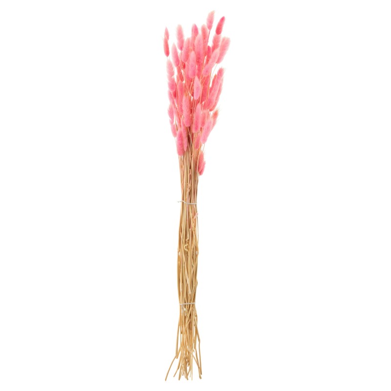 Bouquet di lagurus essiccato in legno rosa 82x15x3 cm
Bouquet di lagurus essiccato in legno rosa 82x15x3 cm