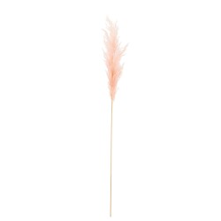 Branche de plumes de pampas en bois rose 97x10x4 cm