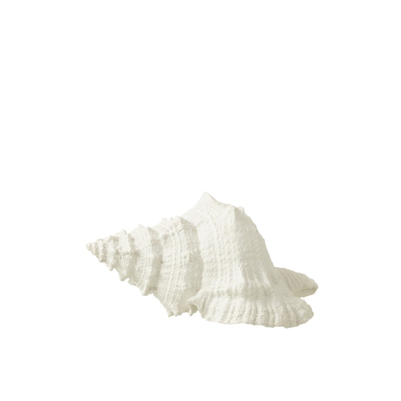 Coquillage en poyrésine blanche 15x17x13 cm Coquillage en poyrésine blanche 15x17x13 cm