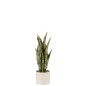 Pot de sansevieria artificiel en plastique vert 10x10x36 cm Pot de sansevieria artificiel en plastique vert 10x10x36 cm