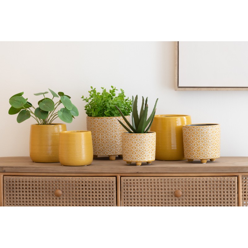 Conjunto de 3 plantas suculentas de plástico blanco - verde 11.5x11.5x21 cm
