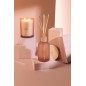 Diffusore di essenze «Rose Rêveuse» 250ml in vetro 7.5x7.5x27.5 cm Diffusore di essenze «Rose Rêveuse» 250ml in vetro 7.5x7.5x27.5 cm