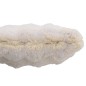Cuscino quadrato in poliestere beige 45x45x18 cm Cuscino quadrato in poliestere beige 45x45x18 cm