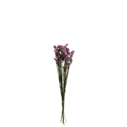 Flores secas de nomeolvides morado de 73 cm