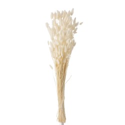 Bouquet de fleurs sèchées blanc 14x3x86cm